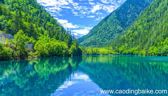 梦见水域是什么意思 梦见水域有什么预兆