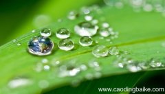 梦见朝露闪烁发亮什么意思 梦见朝露闪烁发亮预示什么