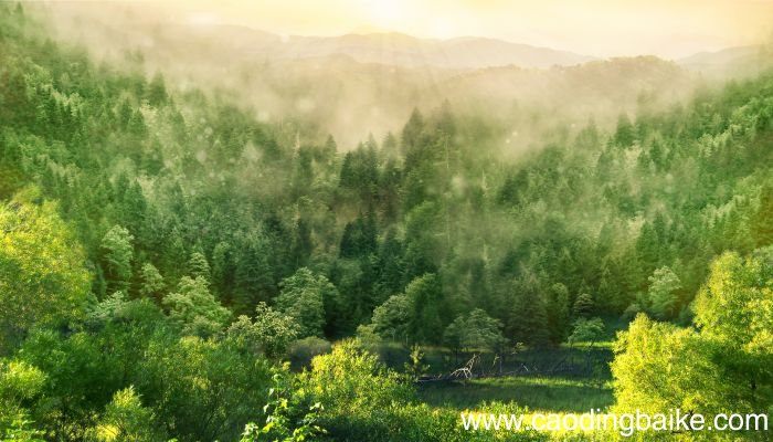 梦见园林是什么意思 梦见园林有什么预兆