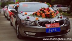 梦见迎亲队伍 游行是什么意思 梦见迎亲队伍 游行有什么预兆