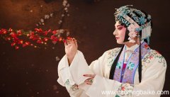 梦见看戏是什么意思 梦见看戏是什么预兆