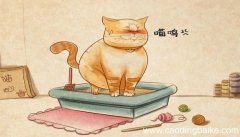 梦见掉进厕所是什么意思 梦见掉进厕所有什么预兆