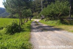 梦见路断了是什么意思 梦见路断了有什么预兆