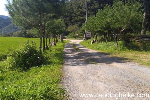 梦见路断了是什么意思 梦见路断了有什么预兆