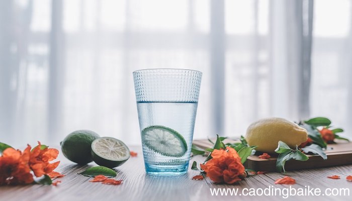 梦见畅饮是什么意思 梦见畅饮有什么预兆