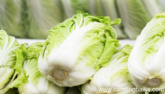 梦见洗白菜是什么意思 梦见洗白菜是什么预兆