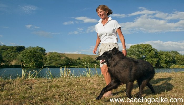 梦见被狗咬住不放是什么意思 梦见被狗咬住不放有什么预兆