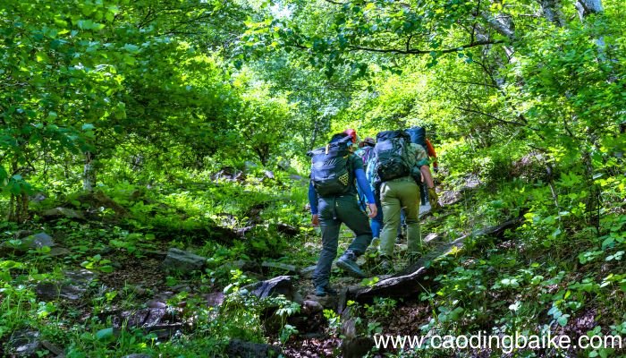 梦见居住高山是什么意思 梦见居住高山是什么预兆