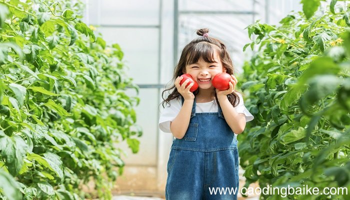梦见小女孩大便是什么意思 梦见小女孩大便是什么预兆