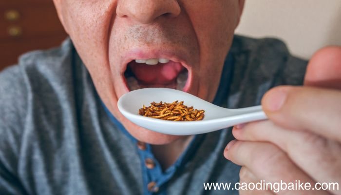 梦见小孩吃虫子是什么意思 梦见小孩吃虫子是什么预兆