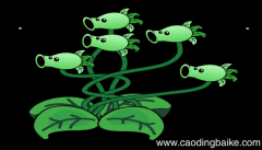 梦见植物大战僵尸是什么意思 梦见植物大战僵尸是什么预兆