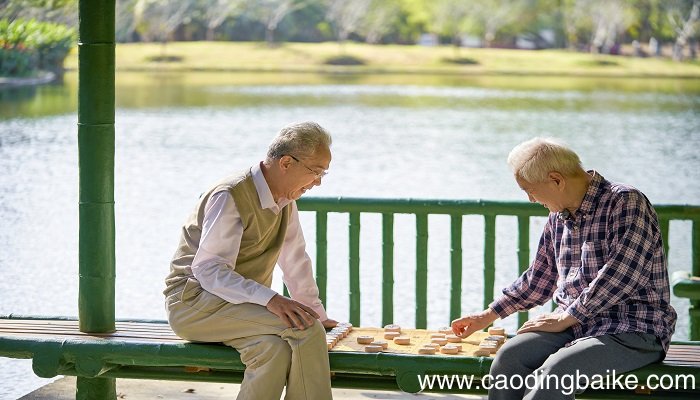 梦见下象棋是什么意思 梦见下象棋是什么预兆