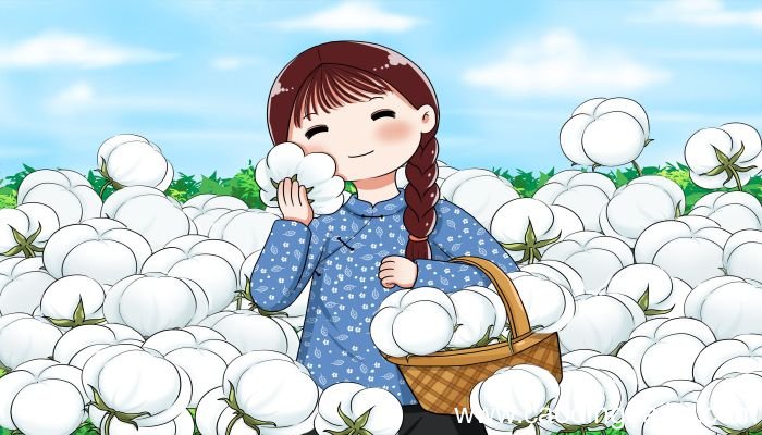 梦见摘棉花是什么意思 梦见摘棉花有什么预兆