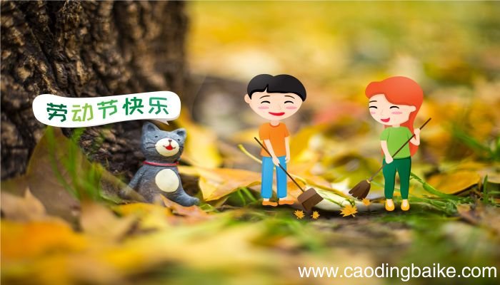 梦见扫落叶是什么意思 梦见扫落叶有什么预兆