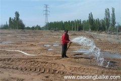 梦见灌溉 浇水 浇地是什么意思 梦见灌溉 浇水 浇地有什么预兆