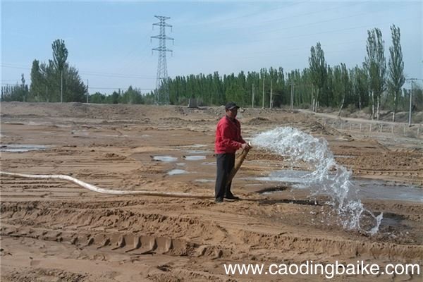 梦见灌溉 浇水 浇地是什么意思 梦见灌溉 浇水 浇地有什么预兆