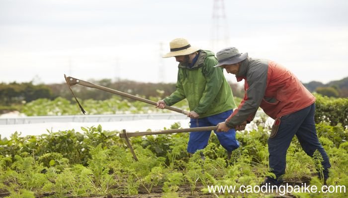梦见刨子什么意思 梦见刨子预示什么