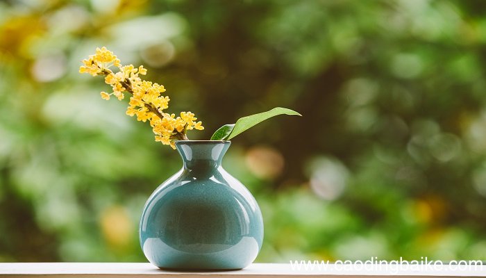 梦见花瓶是什么意思 梦见花瓶预示着什么