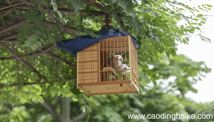 梦见鸟笼是什么意思 梦见鸟笼预示着什么
