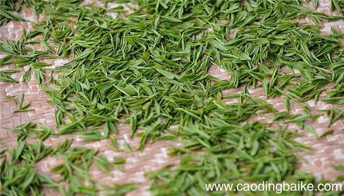 梦见茶 茶叶 喝茶是什么意思 梦见茶 茶叶 喝茶有什么预兆