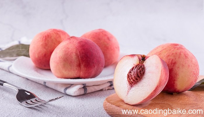 梦见食物腐败是什么意思 梦见食物腐败有什么预兆