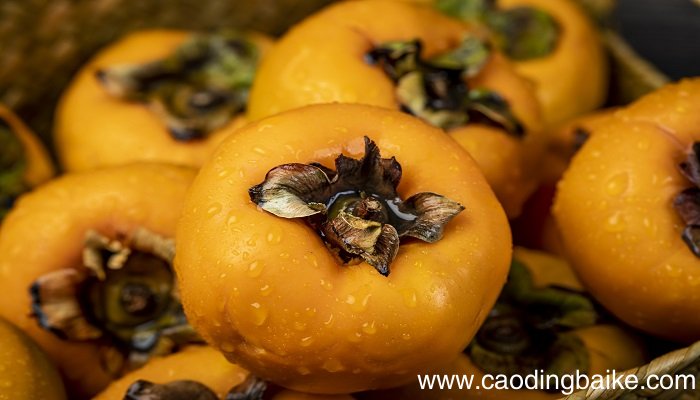 梦见食物腐败是什么意思 梦见食物腐败有什么预兆