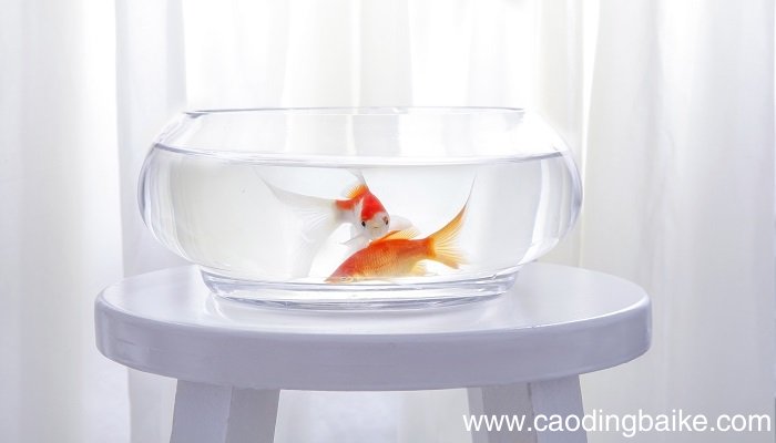 梦见鱼缸是什么意思 梦见鱼缸有什么预兆