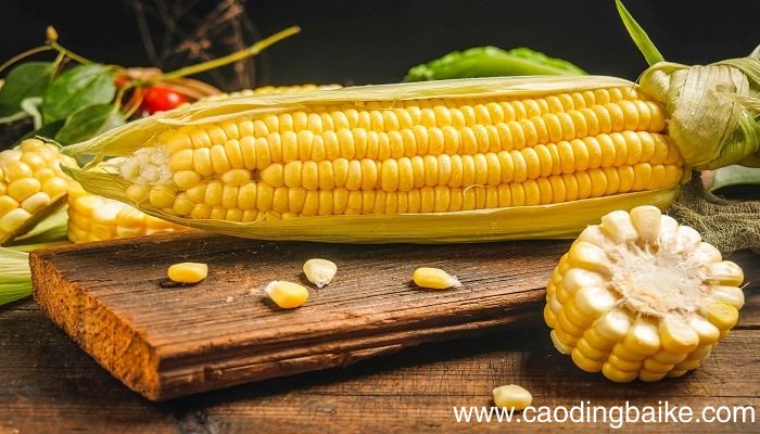 梦见玉米粉 玉米面是什么意思 梦见玉米粉 玉米面有什么预兆