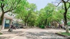 梦见槐树是什么意思 梦见槐树有什么预兆