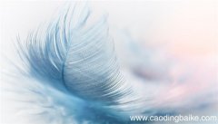 梦见大羽毛是什么意思 梦见大羽毛有什么预兆