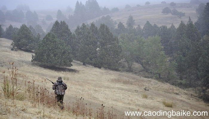 梦见枪支是什么意思 梦见枪支有什么预兆