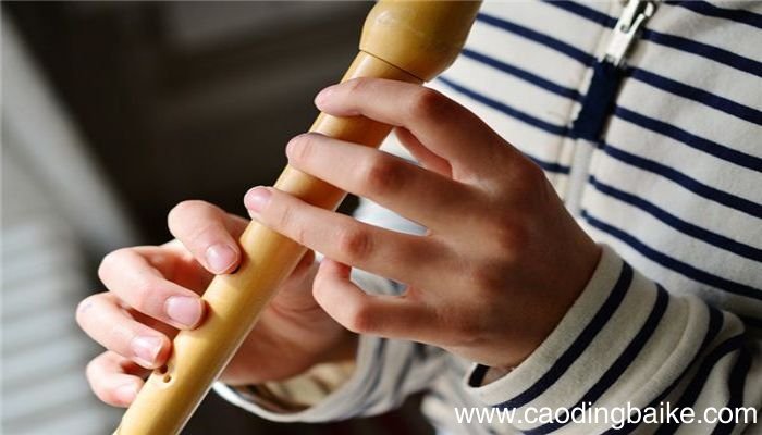 梦见竖笛是什么意思 梦见竖笛是什么预兆