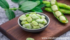 梦见蚕豆是什么意思 梦见蚕豆有什么预兆