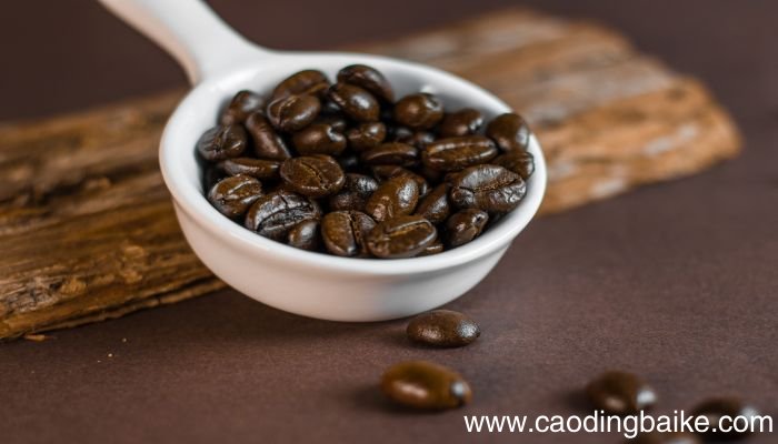 梦见可可豆是什么意思 梦见可可豆有什么预兆