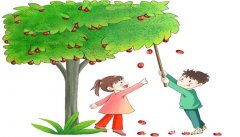 梦见枣树种枣树是什么意思 梦见枣树种枣树有什么预兆