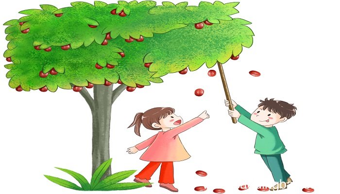 梦见枣树种枣树是什么意思 梦见枣树种枣树有什么预兆