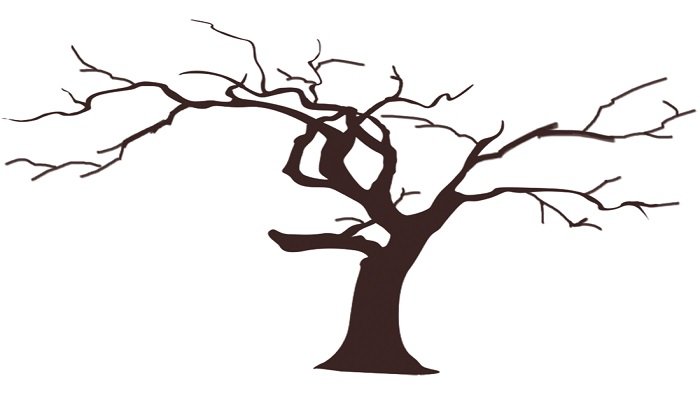 梦见枯树残枝是什么意思 梦见枯树残枝有什么预兆