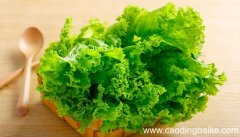 梦见生菜是什么意思 梦见生菜有什么预兆