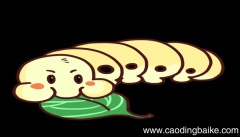 梦见蛆是什么意思 梦见蛆有什么预兆