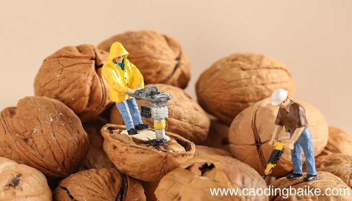 梦见胡桃是什么意思 梦见胡桃是什么预兆