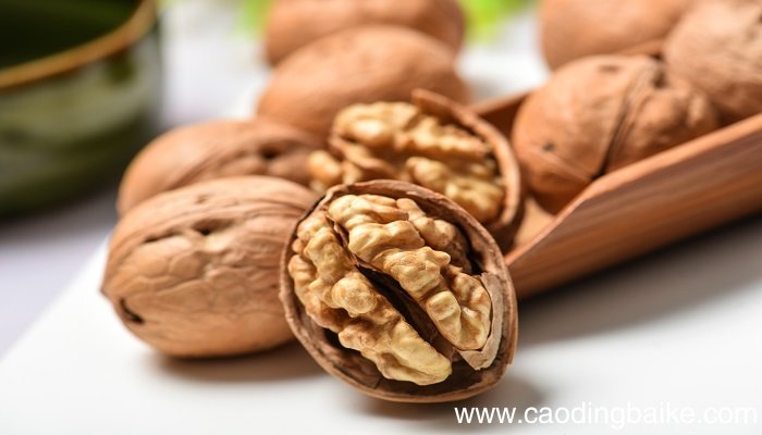 梦见胡桃是什么意思 梦见胡桃是什么预兆