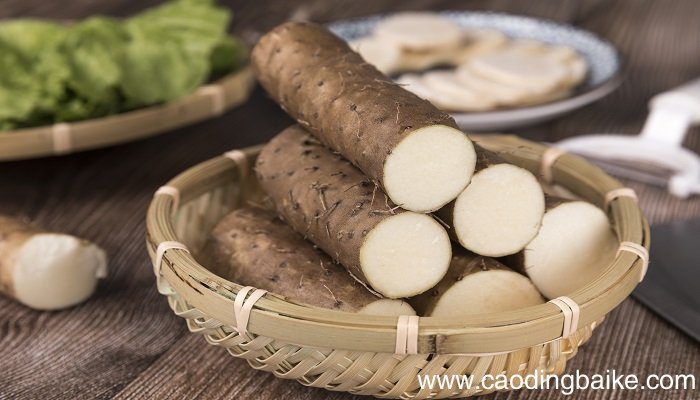 梦见山药是什么意思 梦见山药有什么预兆