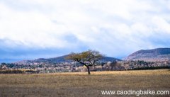 梦见荒草是什么意思 梦见荒草有什么预兆