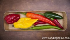 梦见菜椒是什么意思 梦见菜椒有什么预兆