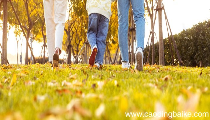 梦见银杏树叶散落满地是什么意思 梦见银杏树叶散落满地有什么预兆