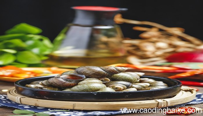 梦见螺狮是什么意思 梦见螺狮有什么预兆