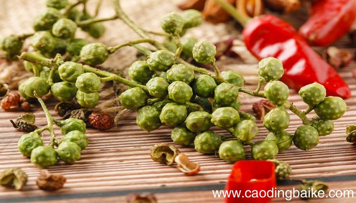 梦见花椒 花椒树是什么意思 梦见花椒 花椒树有什么预兆
