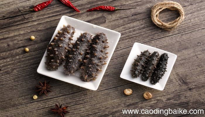 梦见海参是什么意思 梦见海参有什么预兆