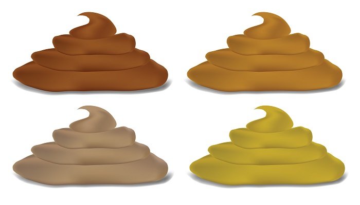 梦见狗拉屎是什么意思 梦见狗拉屎有什么预兆