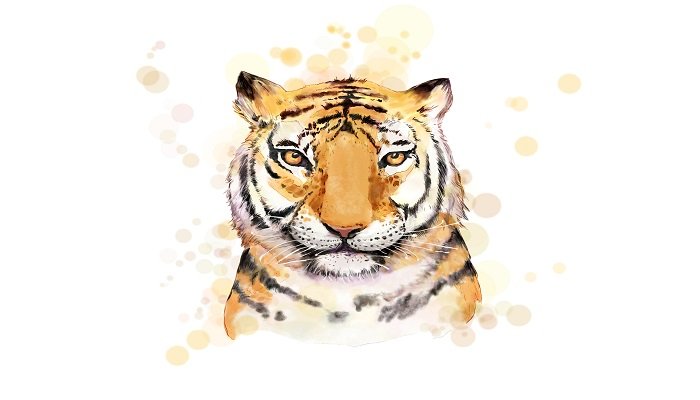梦见老虎走入家中是什么意思 梦见老虎走入家中有什么预兆